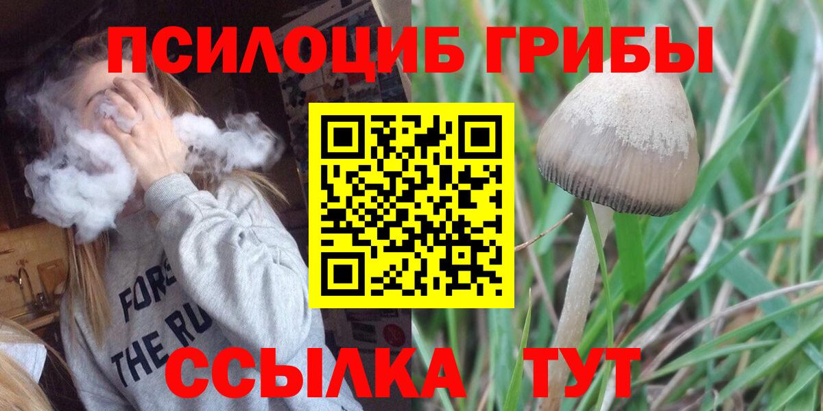 купить закладку  Галлюциногенные грибы Psilocybe  Псилоцибиновые грибы прущие грибы  Вход с VPN  Кудрово 